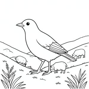 solo, một con chim, một đầu, hai mắt, một mỏ, hai cánh, hai chân, một đuôi, tỷ lệ tự nhiên, quy mô thích hợp trong môi trường, đúng giải phẫu, chim, sườn đồi, phong cảnh lăn, cừu chăn thả, kích thước nhỏ, New Zealand, địa hình lăn, ánh sáng mặt trời, chi tiết, thực tế, mục vụ, trang màu, nghệ thuật đường, nền trắng, solo, chủ đề đơn, đúng giải phẫu, giải phẫu hoàn hảo