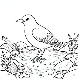 solo, một con chim, một đầu, hai mắt, một mỏ, hai cánh, hai chân, một đuôi, tỷ lệ tự nhiên, quy mô thích hợp trong môi trường, đúng giải phẫu, chim, Đường bờ biển đá, thủy triều, đá, đá cuội, rong biển, vỏ sò, lũa, cát ướt, đá, nước nông, trang màu, nghệ thuật đường, nền trắng, solo, chủ đề đơn, đúng giải phẫu, giải phẫu hoàn hảo