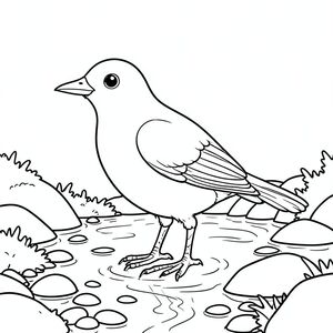 solo, một con chim, một đầu, hai mắt, một mỏ, hai cánh, hai chân, một đuôi, tỷ lệ tự nhiên, quy mô thích hợp trong môi trường, đúng giải phẫu, chim, giường lạch, đá, nước, nông, nhỏ giọt, ánh sáng mặt trời, rõ ràng, mịn, đá cuội, rêu, trang màu, nghệ thuật đường, nền trắng, solo, chủ đề đơn, chính xác về mặt giải phẫu, giải phẫu hoàn hảo