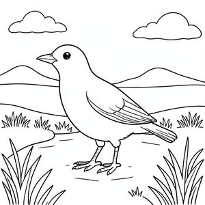 solo, một con chim, một đầu, hai mắt, một mỏ, hai cánh, hai chân, một đuôi, tỷ lệ tự nhiên, quy mô thích hợp trong môi trường, đúng giải phẫu, chim, lạch, đồng cỏ, đồng cỏ, bằng phẳng, đơn giản, dọn dẹp, lý lịch, bầu trời, ánh sáng mặt trời, tô màu, nghệ thuật đường, nền trắng, solo, chủ đề đơn, đúng giải phẫu, giải phẫu hoàn hảo