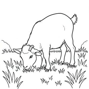 Goat eating grass in the field