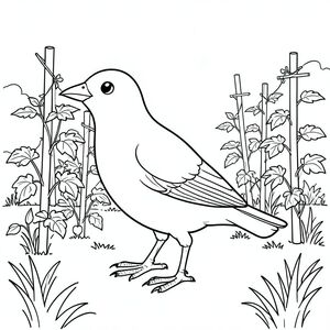 Độc lập, một con chim, một đầu, hai mắt, một mỏ, hai cánh, hai chân, một đuôi, tỷ lệ tự nhiên, quy mô thích hợp trong môi trường, đúng giải phẫu, chim, Vườn rau, Cọc cà chua, Cực đậu, nhỏ, nền đơn giản, dọn dẹp, vườn, Tán lá, cỏ, Ánh sáng mặt trời, Trang tô màu, Nghệ thuật đường, nền trắng, Solo, chủ đề đơn, Đúng giải phẫu, Giải phẫu hoàn hảo