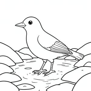 Độc mình, một con chim, một đầu, hai mắt, một mỏ, hai cánh, hai chân, một đuôi, tỷ lệ tự nhiên, quy mô thích hợp trong môi trường, đúng giải phẫu, chim, giường lạch, đá, nước, nông, nhỏ giọt, ánh sáng mặt trời, đơn giản, dọn dẹp, lý lịch, đá, tô màu, nghệ thuật đường, nền trắng, solo, chủ đề đơn, chính xác về mặt giải phẫu, giải phẫu hoàn hảo