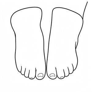 a female feet