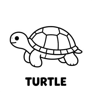 Baby turtle walking slowly with patterned shell, thick outlines, black and white only, TEXT AT BOTTOM CENTER: "TURTLE"