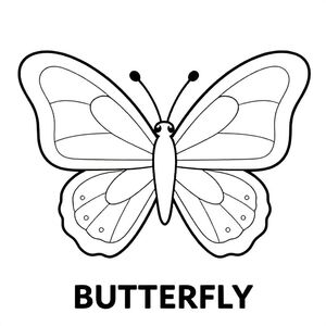Cute butterfly with big wings and simple patterns, black and white only, TEXT AT BOTTOM CENTER: "BUTTERFLY"