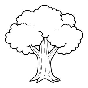 Một cây cổ thụ 