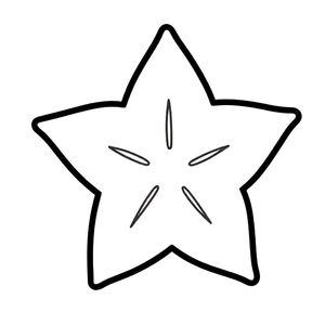 Simple Minimalist Starfruit for kids aged 3 to 6 years, thick black outlines, large simple shapes, plain white background, centered on the page, easy to color, no text, no shading, kid-friendly illustration