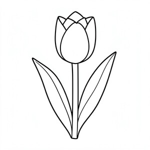 hoa tulip