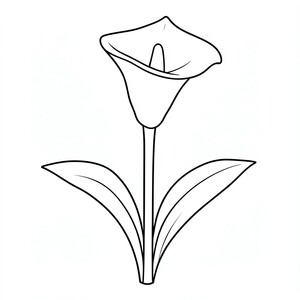 cal
The Lilly 
