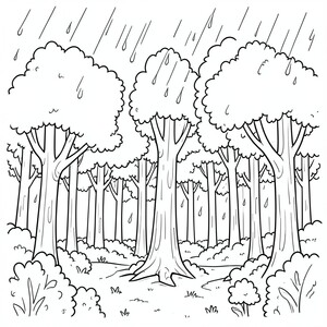A forest of trees in the rain