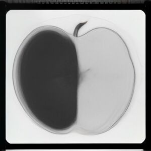 Simple cute cartoon apple, black and white coloring page, thick smooth black outline, white background, centered, preschool coloring book, clean vector style, no shading, no text, no numbers, no extra objects.