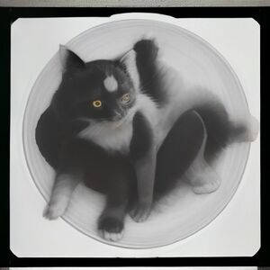 олимп сайт [url=www.olymp41836.shop]олимп сайт[/url]