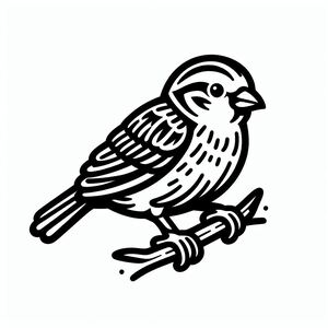 A black and white bird sitting on a branch