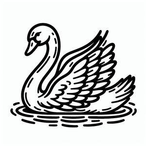 A black and white swan floating on top of water