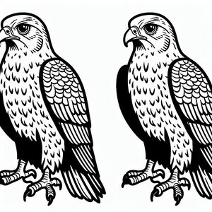 Falcon