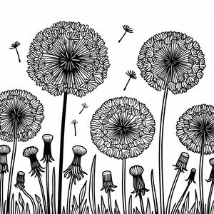 A black and white drawing of dandelions