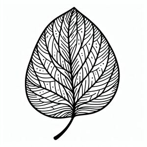 A black and white drawing of a leaf 3