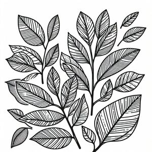 Một bản vẽ đen trắng của lá