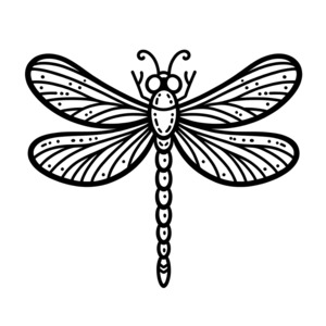 Dragonfly