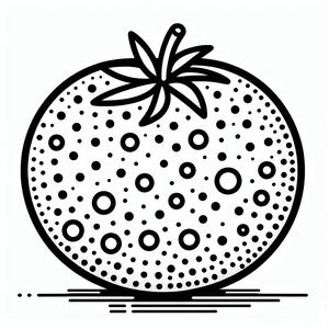 A black and white drawing of a tomato