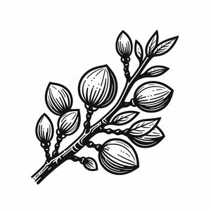 A black and white drawing of a branch with leaves 4