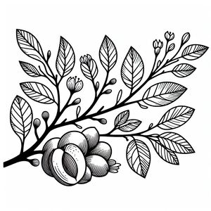 A black and white drawing of a branch with leaves