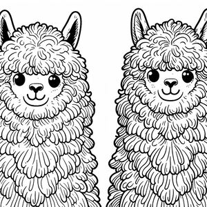 Hai con Alpaca lông 1