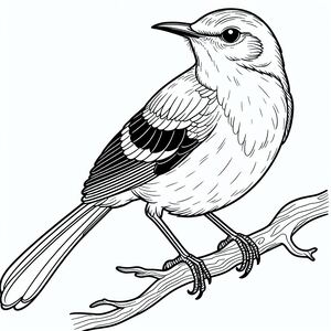 Perched Northern Mockingbird 3