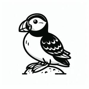 Horned Puffin 4