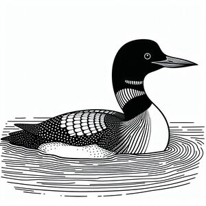 Common Loon 1