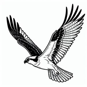 Osprey