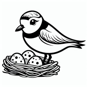 Đường ống plover