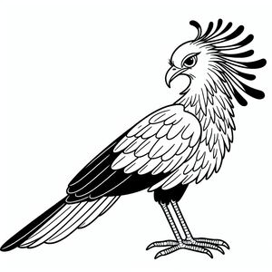 Secretary Bird 2