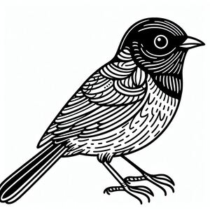 Towhee