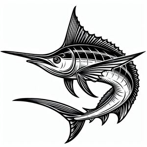 White Marlin (Kajikia Albida) 4