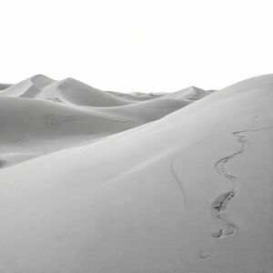 Cồn cát sa mạc Sahara