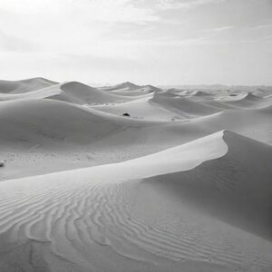 Sand dunes of the Sahara desert