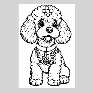 một xù với một coller có tên Daisy