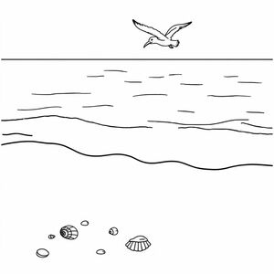 beach
