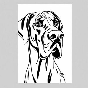 great dane with natural ear with strawberries
