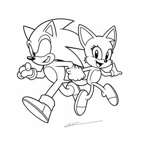 Draw Sonic and Tails running side by side, showing movement and excitement. Use thick outlines with minimal background.

