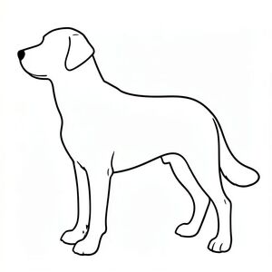 Tạo một hình minh họa nghệ thuật vector của một. Trọng tâm chính là độ chính xác giải phẫu hoàn hảo và hình dáng trông tự nhiên. nên được mô tả trong một hình bóng tĩnh, hoàn chỉnh, không bị phá vỡ.  Hình dạng của phải được thể hiện hoàn hảo với các đường nét và góc độ chính xác.  Hình bóng phải cực kỳ sạch sẽ và tối giản, không có tô màu, chuyển màu, đổ bóng hoặc .  Bảng màu chỉ nên là nền trắng.  Duy trì độ đậm đường mạnh, đậm và có độ tương phản cao trong toàn bộ hình minh họa.  phải là một giống chó tiêu chuẩn (chỉ định giống nếu muốn - ví dụ: Golden Retriever, German Shepherd - nhưng nhấn mạnh *hình bóng*).  Phong cách minh họa kỹ thuật số – Vector Art, đường nét đậm, độ tương phản cao, nền trắng.  Nhấn mạnh vào sự tối giản và chính xác.  Không có chất độn, độ dốc, nở rắn, hoặc .

** Từ khóa: ** Hình bóng, Nghệ thuật Vector, Chó đơn, Giải phẫu, Sạch sẽ, Đen trắng, Đường đậm, Độ tương phản cao, Nền trắng, Tối giản, Chính xác, Hình thức hoàn hảo.

---

Hãy cho tôi biết nếu bạn muốn tôi tinh chỉnh thêm điều này (ví dụ: thêm một giống chó cụ thể hoặc chỉ định một tư thế cụ thể)!, tranh tô màu đen trắng, phong cách lowbook, nghệ thuật đường nét, đơn sắc, không màu, không đổ bóng, không xám, không tô màu, nền trắng, chỉ phác thảo, phong cách vector, thiết kế phẳng, 2d