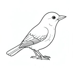 đây là màu PURE AND WHITE, tập trung vào một con chim đơn, ở giữa và chi tiết tỉ mỉ, tuân thủ các thông số kỹ thuật của bạn. Tôi đã ưu tiên hình dạng và biểu cảm của loài chim, hướng đến một khung cảnh vườn Thiền ngoạn mục, thanh bình với một con vật duy nhất.

---     ---

<start_of_image>, trang màu, nghệ thuật đường nét, nền trắng