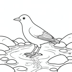 Độc lập, một con chim, hai chân, hai cánh, một mỏ, đúng giải phẫu, chim, suối, đá, Nước, ánh sáng mặt trời, mịn, rõ ràng, đá cuội, phản chiếu, nhẹ nhàng, chảy, trang màu, nghệ thuật đường, nền trắng, solo, chủ đề đơn, chính xác về mặt giải phẫu, giải phẫu hoàn hảo