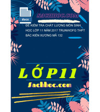 Tải Đề kiểm tra chất lượng môn sinh học lớp 11 năm 2017 trunwofg thpt bắc kiến xương mã 132