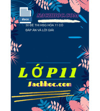 Tải 30 Đề Thi HSG Hóa 11 Có Đáp Án Và Lời Giải