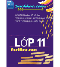 Tải Đề kiểm tra Đại số và Giải tích 11 chương 1 (Lượng giác) trường THPT Thạnh Đông - Kiên Giang