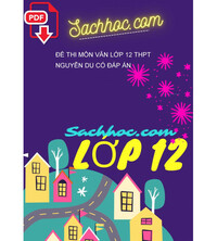 Tải Đề thi môn Văn lớp 12 THPT Nguyễn Du có đáp án