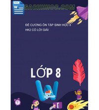 Tải Đề Cương Ôn Tập Sinh Học 8 HK2 Có Lời Giải